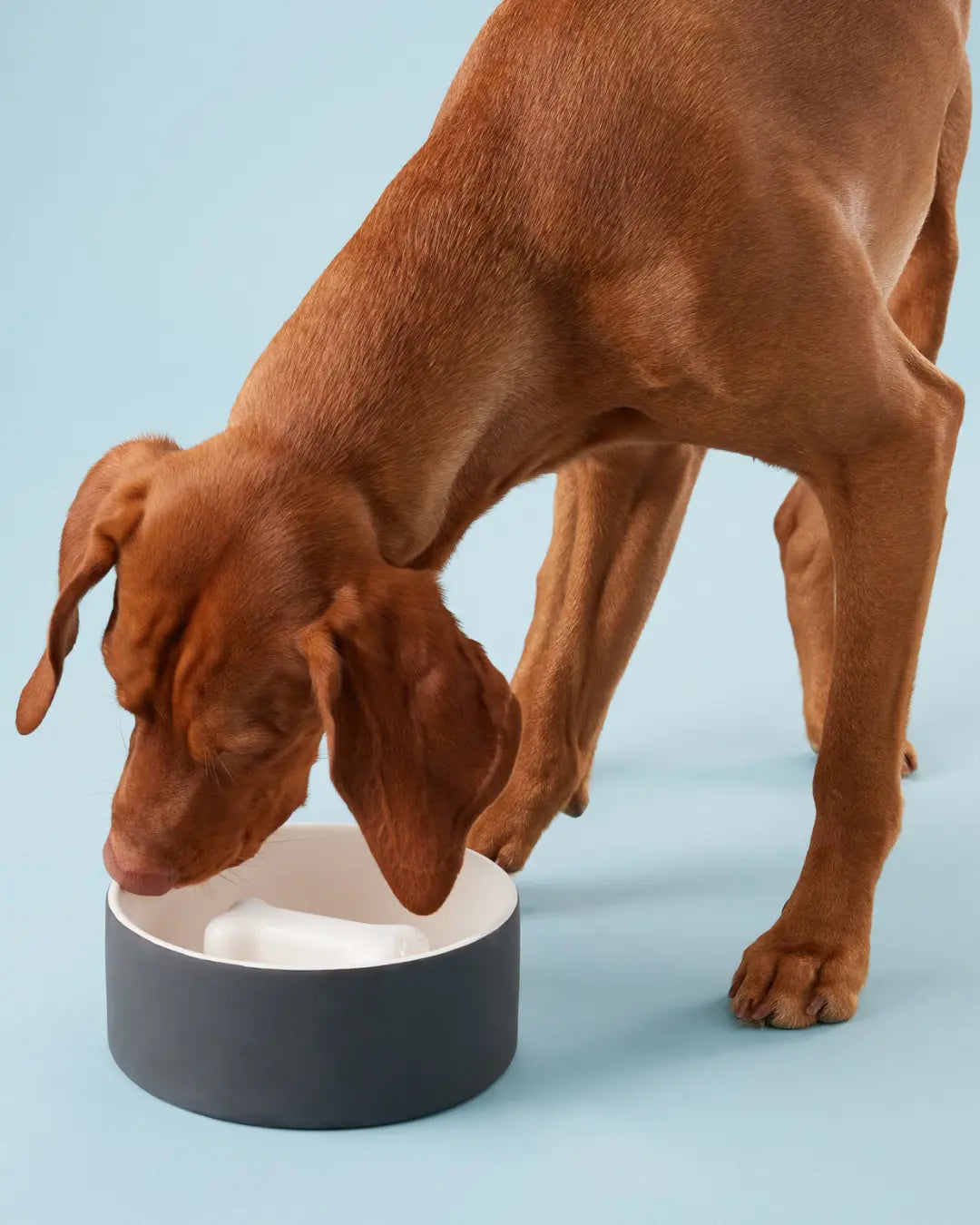 PAIKKA Slow Feed Bowl ahmimisenestokuppi Nordic Pet Shop