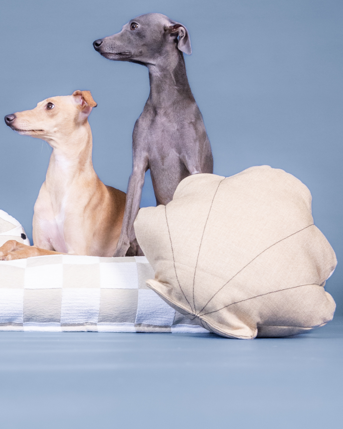 PAIKKA Seashell -lelu Nordic Pet Shop