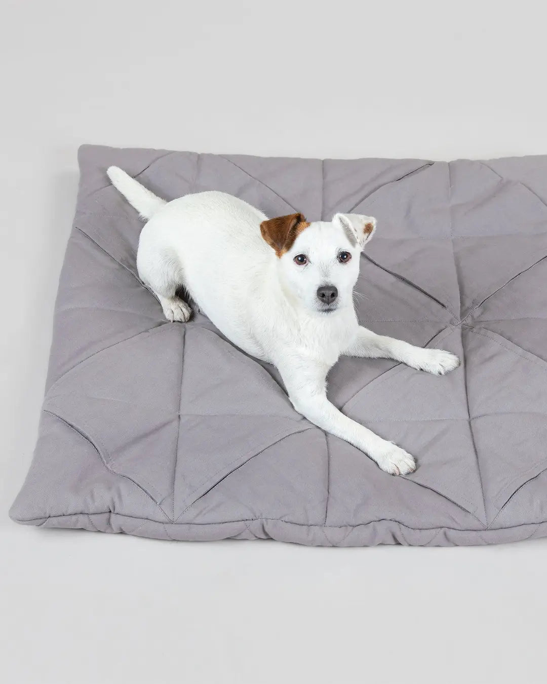 PAIKKA Square -aktivointimatto 76 x 76 cm, Grey Nordic Pet Shop