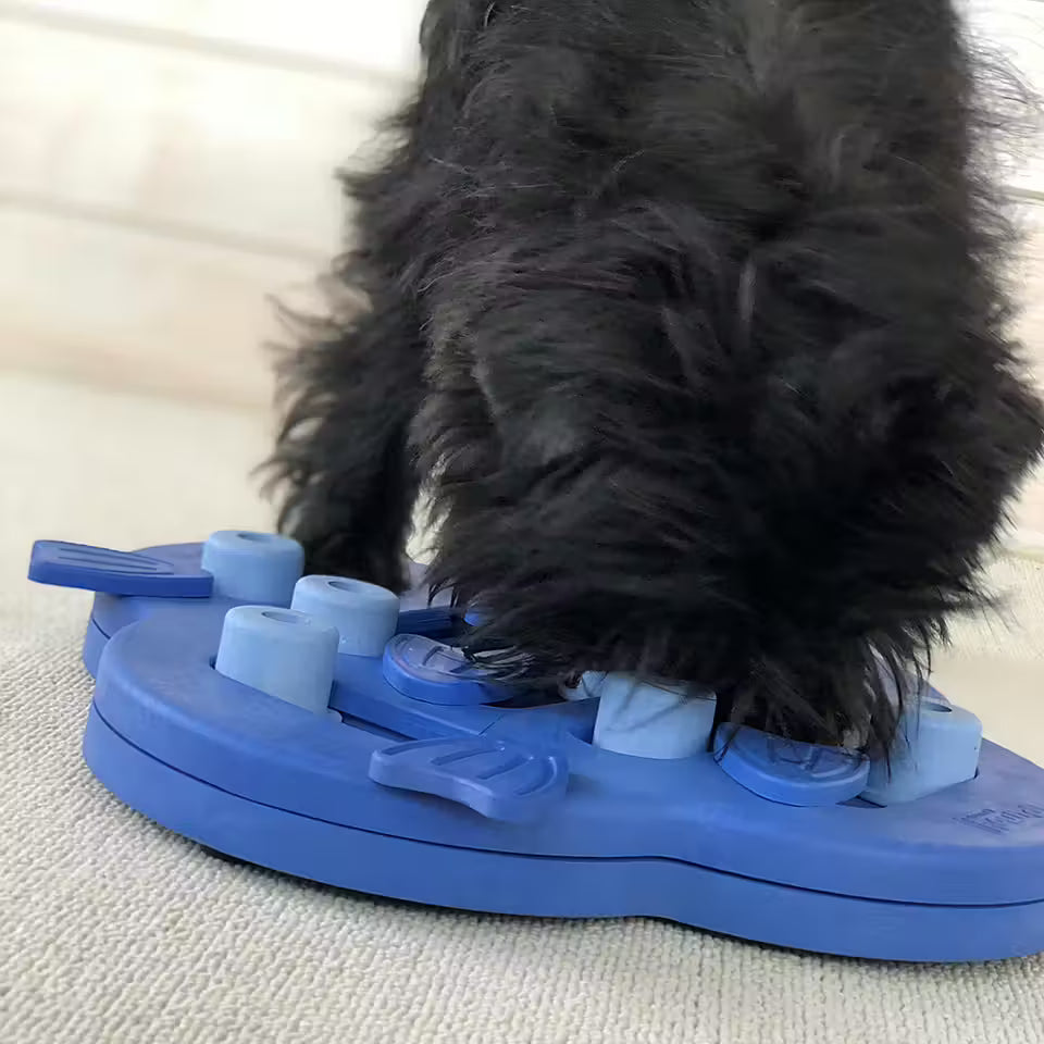 Nina Ottosson Hide N`Slide -aktivointilelu, taso 2, lila Nordic Pet Shop