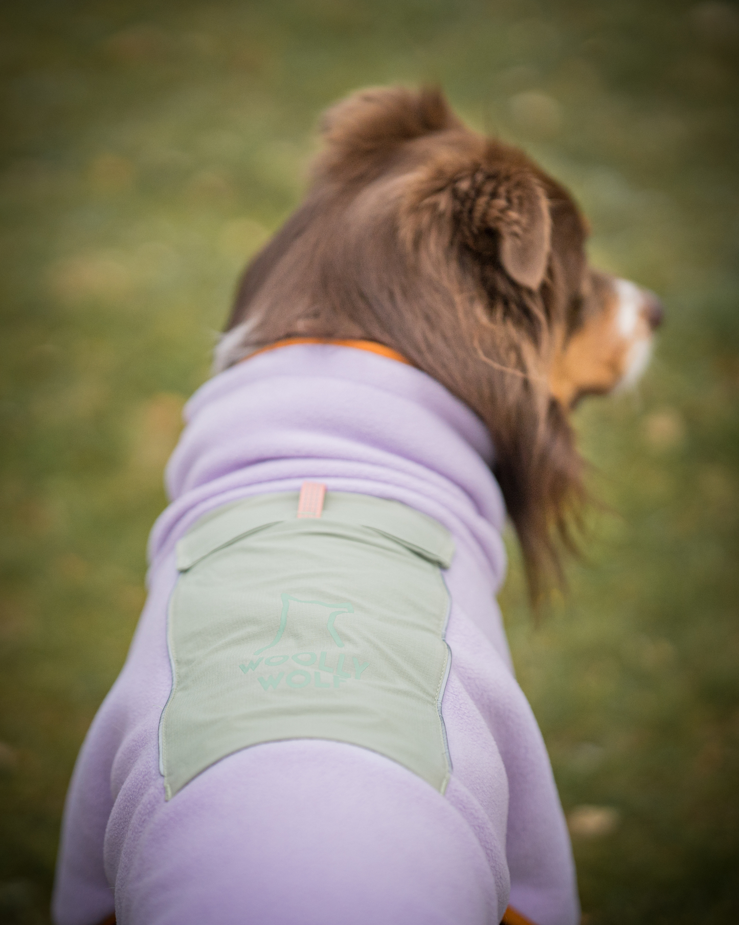 Woolly Wolf Alpha 360 fleecepaita, lavender mix