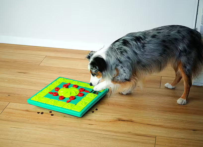Nina Ottosson Multipuzzle -aktivointilelu koiralle, taso 4 Nordic Pet Shop