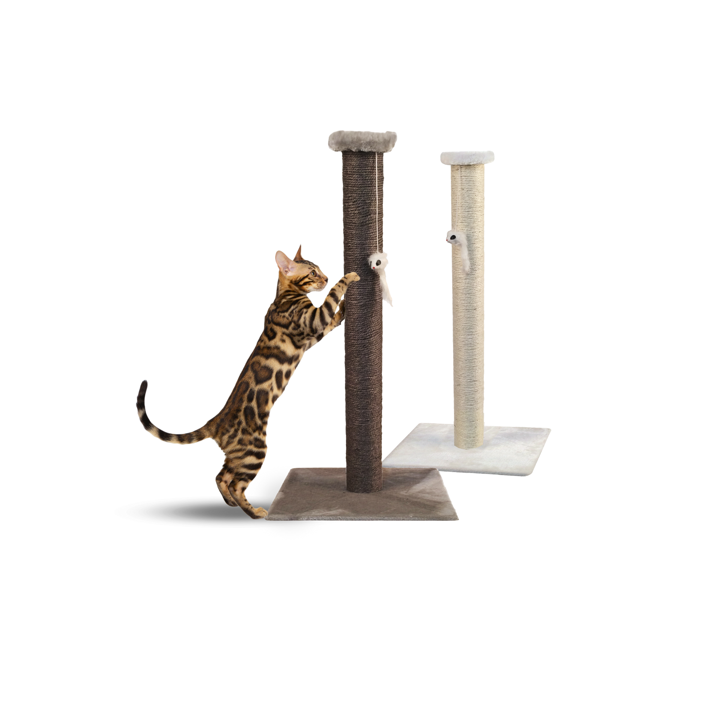 Sally raapimispylväs, harmaa / ruskea