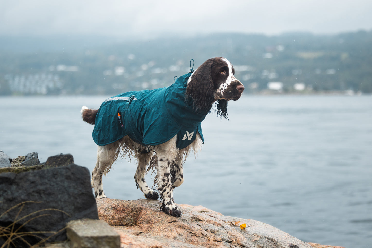 Non-stop Fjord lined raincoat koiran sadetakki