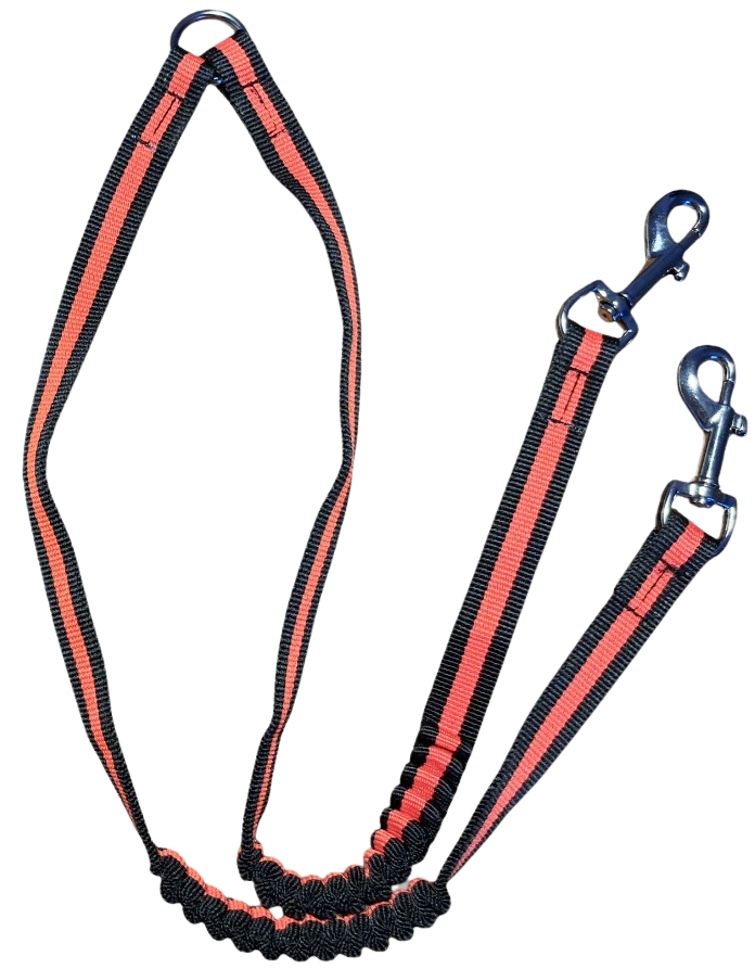 JOKKE Expa -hihnan jakaja kahdelle koiralle