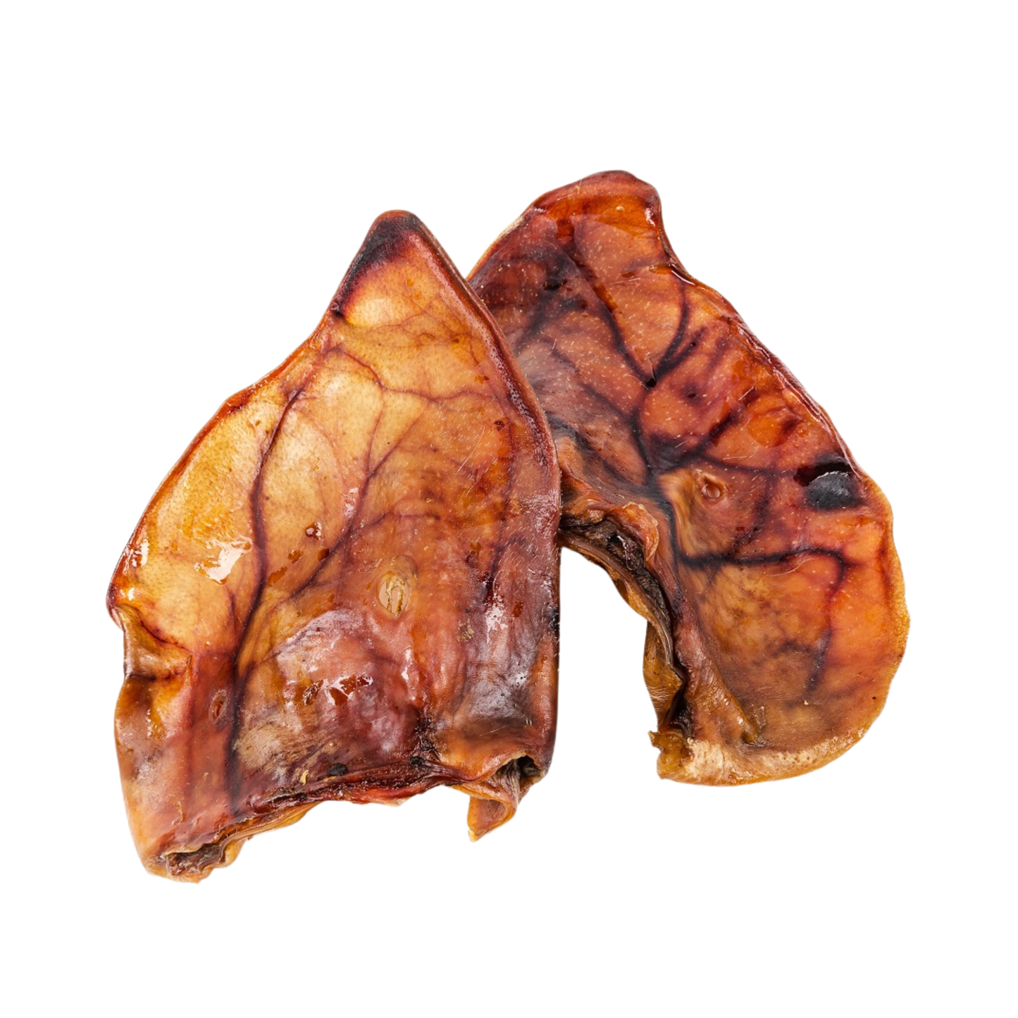 TESSU Iso Possunkorva 1 kpl