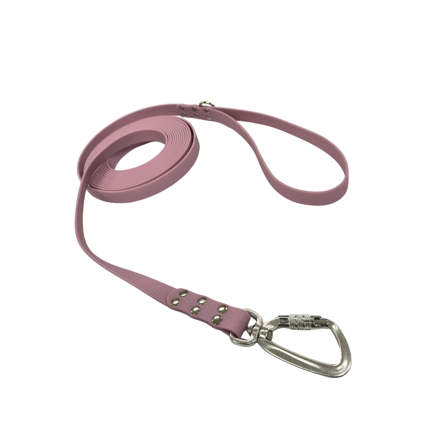 Rakkikoira Hexa -talutin 20 mm x 3 m