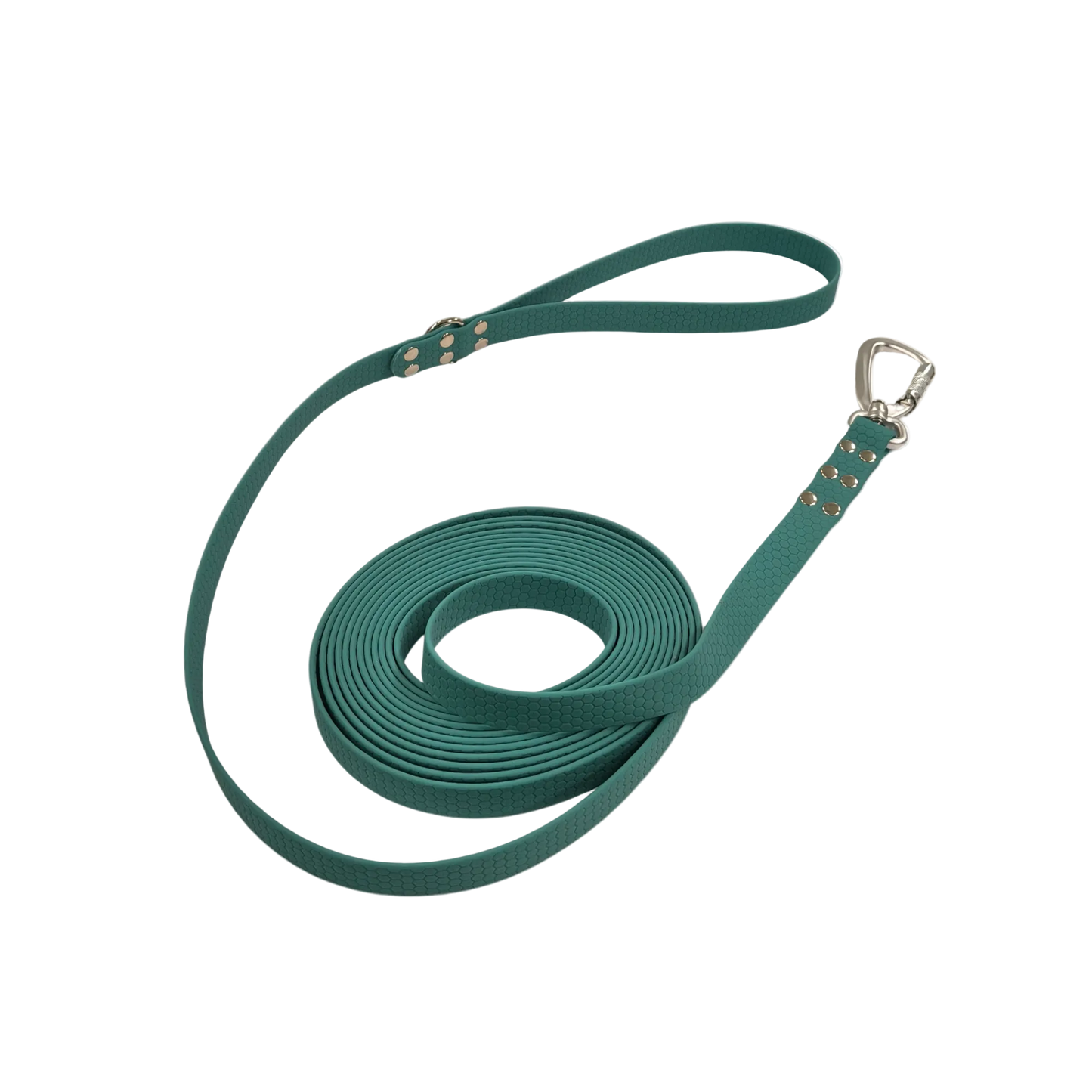 Rakkikoira Hexa -talutin 20 mm x 5 m