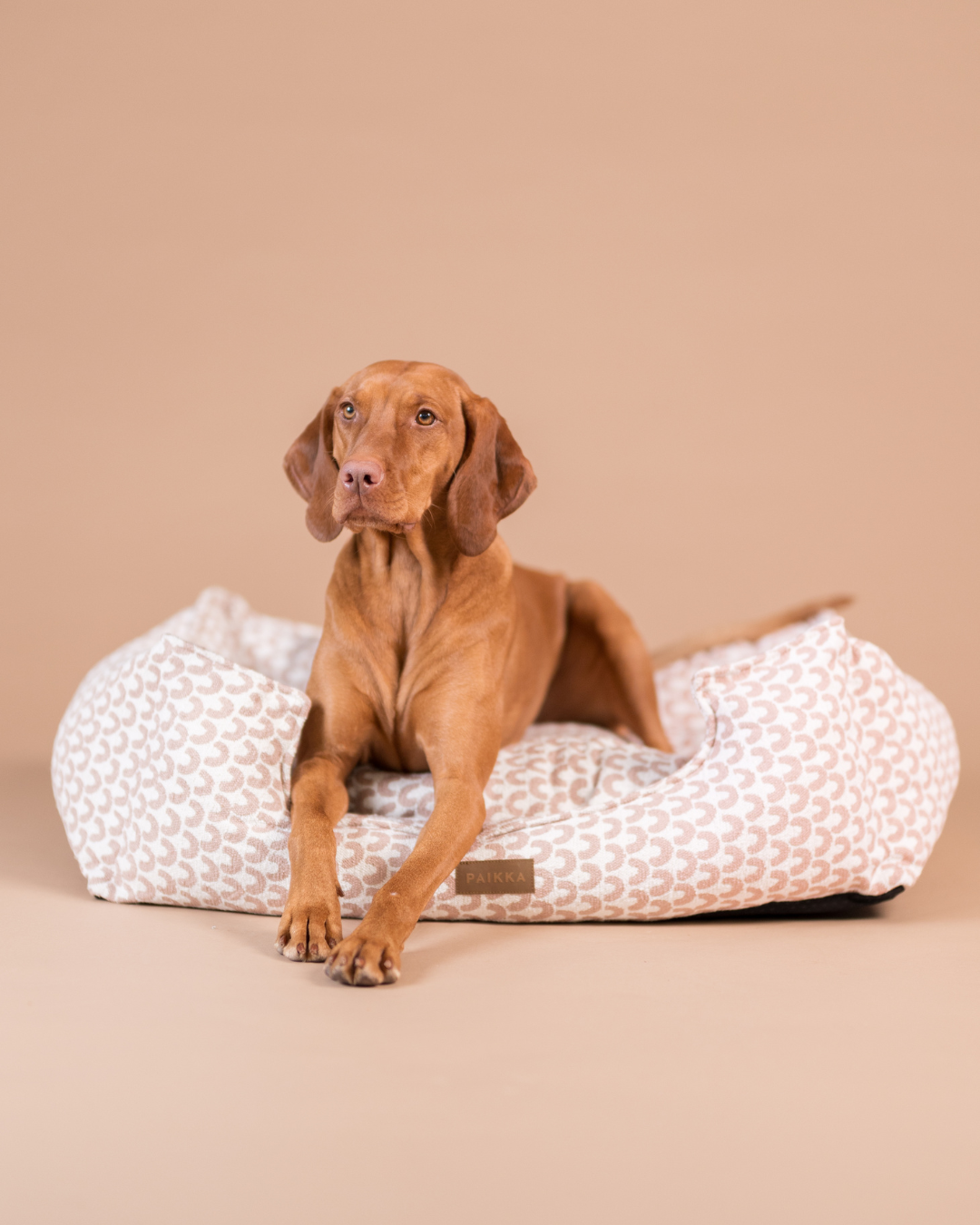 PAIKKA Treasure Bed Pink lemmikin peti