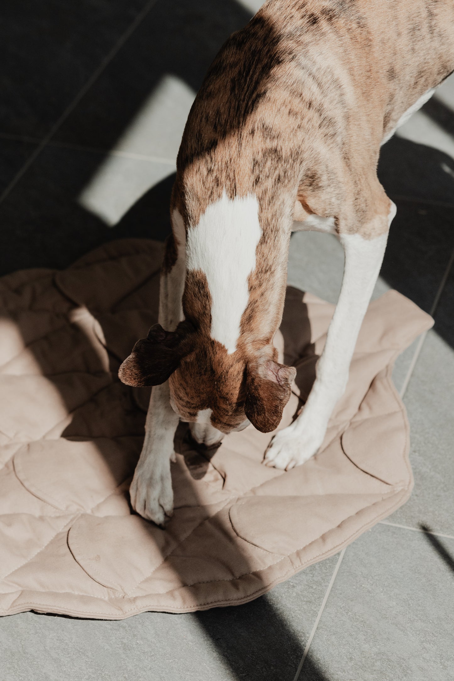 PAIKKA Pine Cone aktivointimatto 77 x 61 cm, Taupe