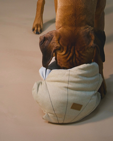 PAIKKA Seashell -lelu