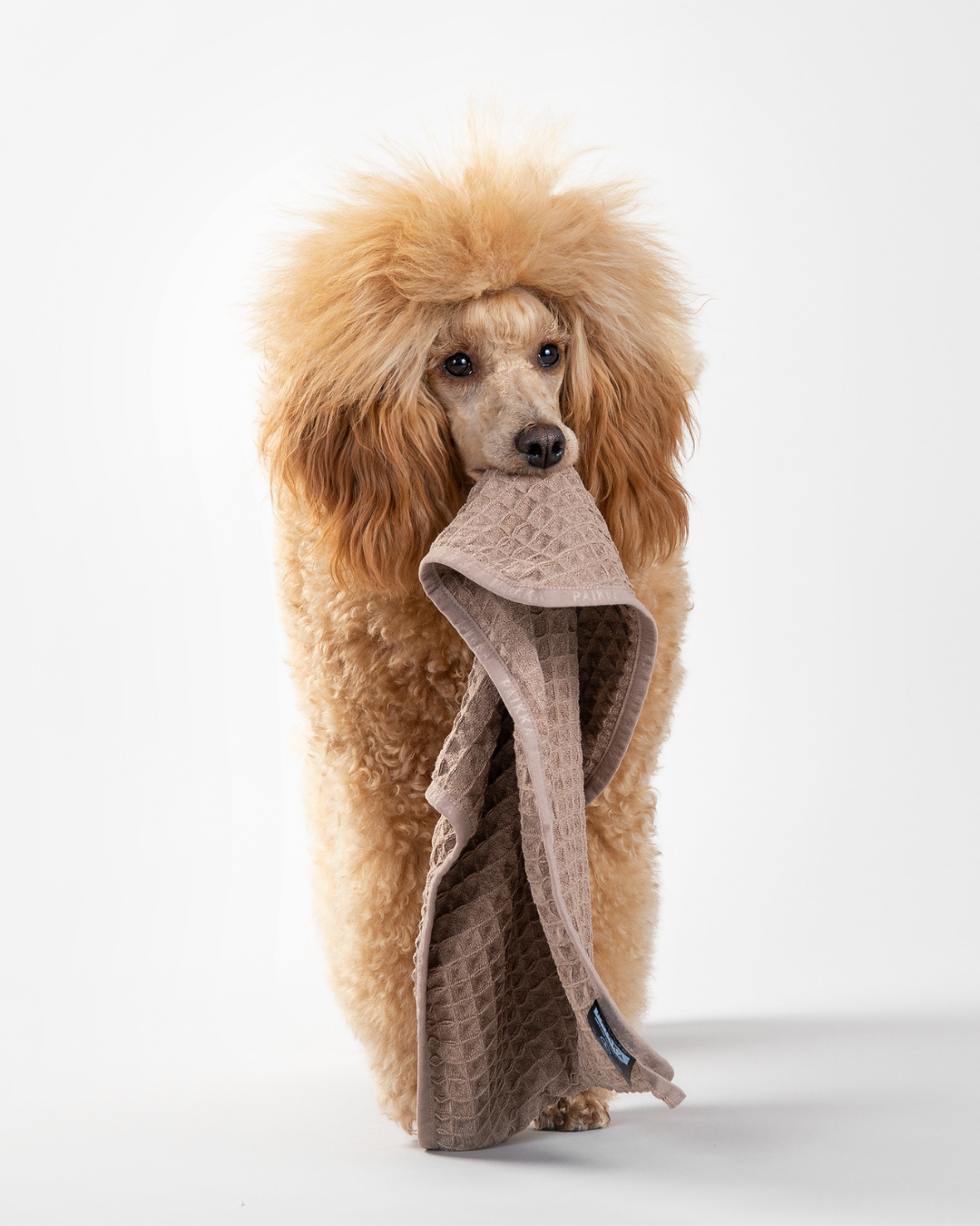 Paikka Drying towel lemmikin pyyhe, taupe