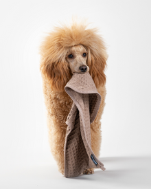 Paikka Drying towel lemmikin pyyhe, taupe