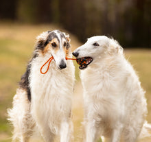 Non-stop Dog ball on rope -narupallo, 70 x 70 mm