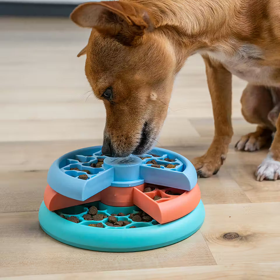 Nina Ottosson Puppy Lickin' Layers -aktivointikuppi koiranpennuille ja pienille koirille