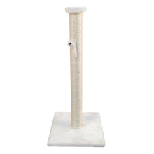 Sally raapimispylväs, valkoinen