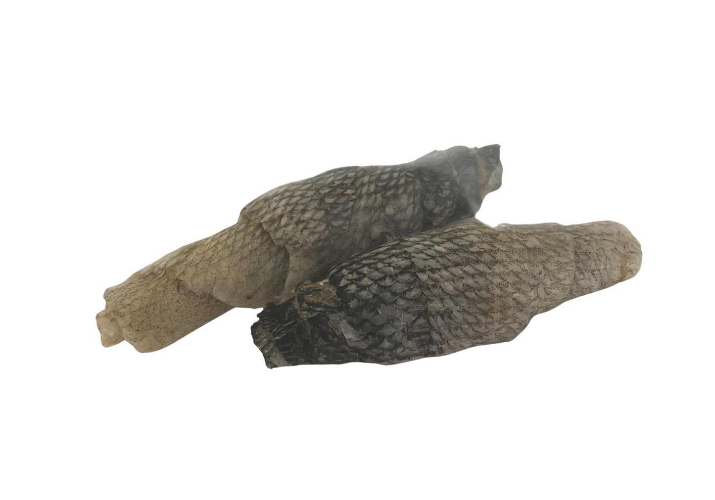 EVÄKÄS Kuivattu kuhannahka 2 kpl