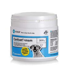 AIKA Cartivet® + MSM jauhe 300 g
