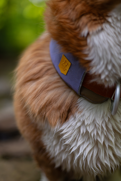 Woolly Wolf Alpha 360 koiran panta, lavender mix