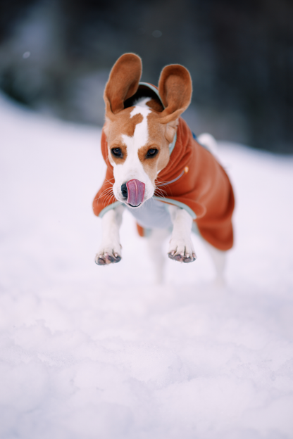 Woolly Wolf Alpha 360 fleecepaita, terracotta mix