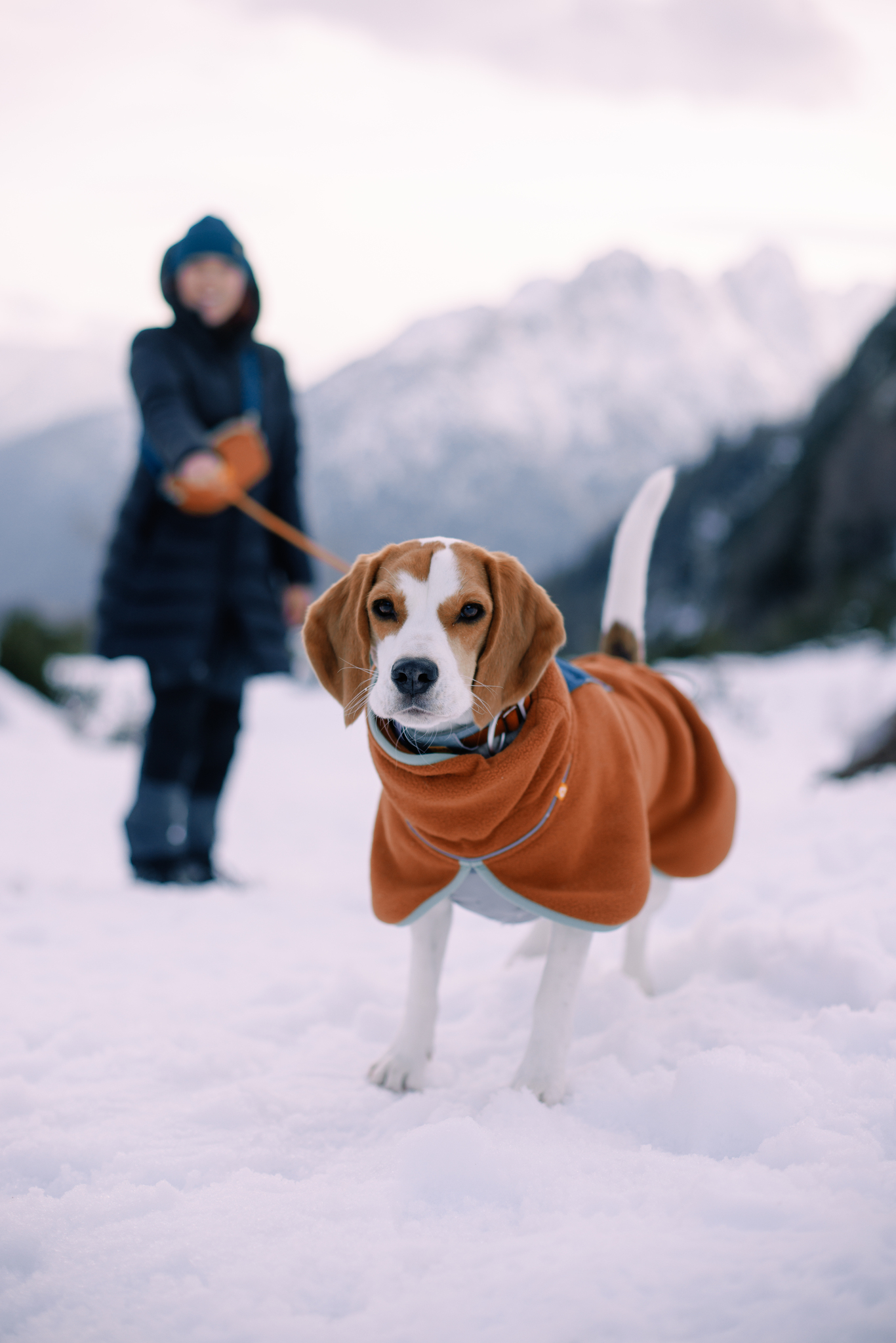 Woolly Wolf Alpha 360 fleecepaita, terracotta mix