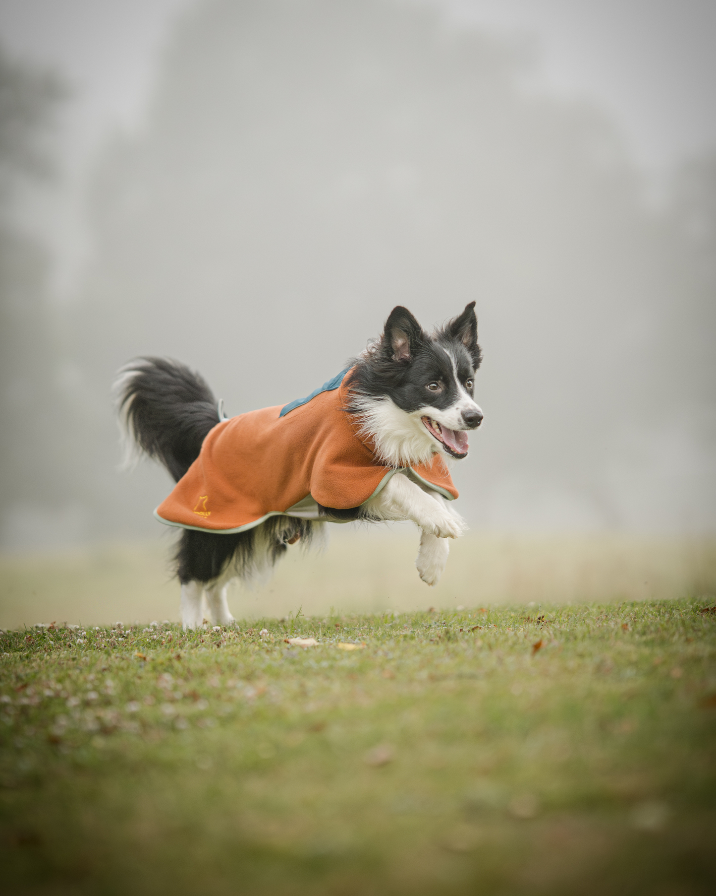 Woolly Wolf Alpha 360 fleecepaita, terracotta mix