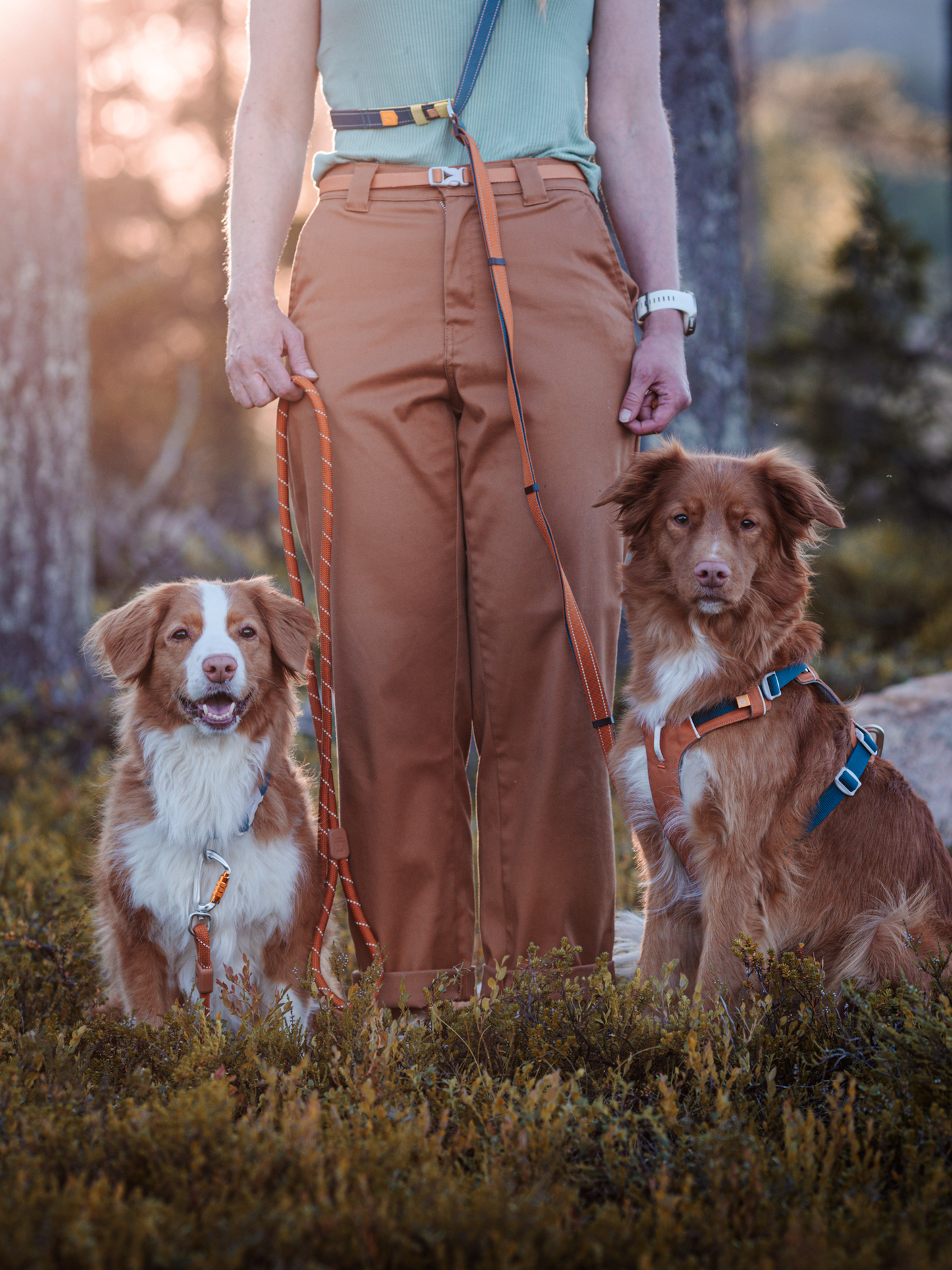 Woolly Wolf Alpha 360 koiran valjaat, terracotta mix