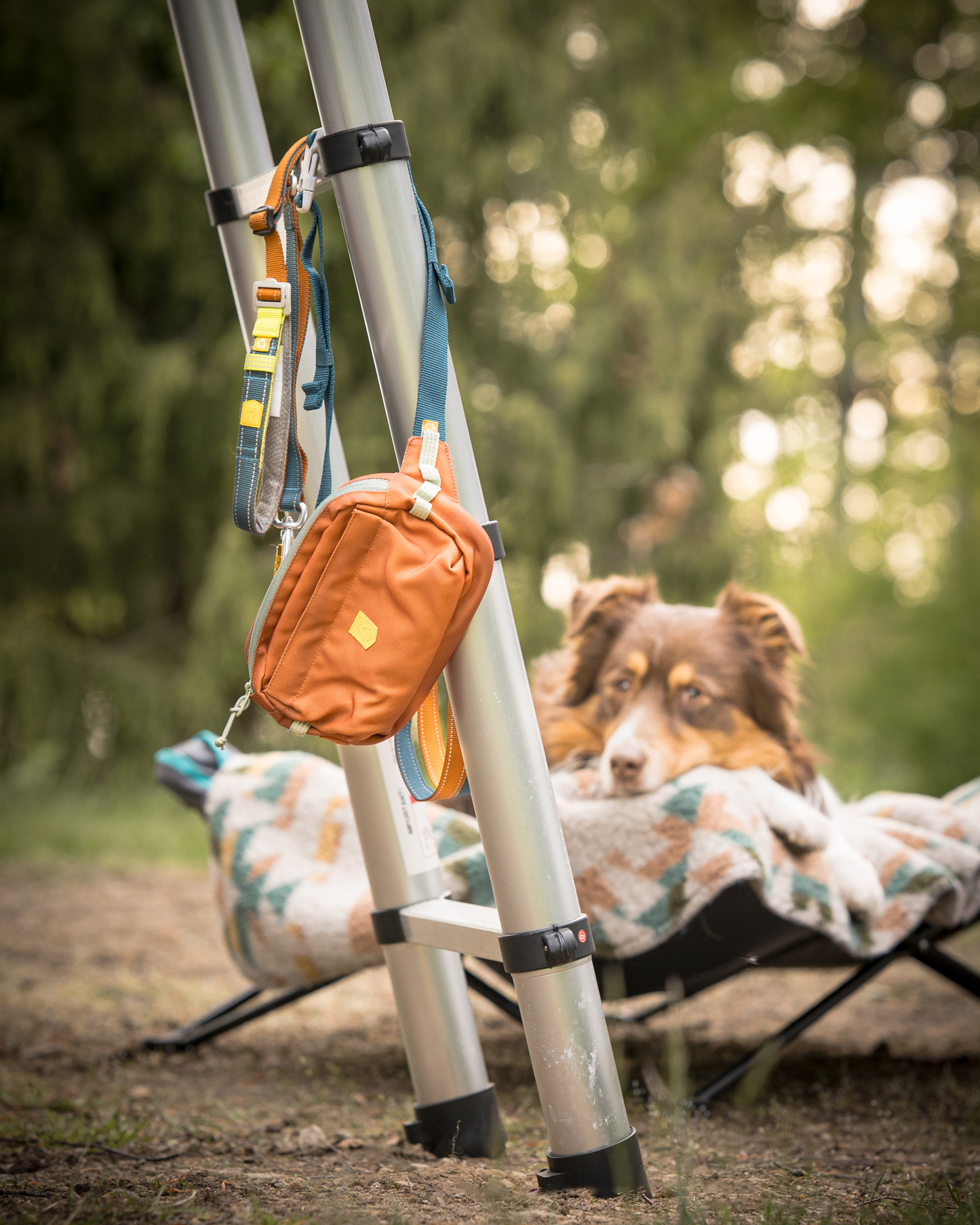 Woolly Wolf Alpha 360 Hip Pack Vyölaukku, terracotta mix