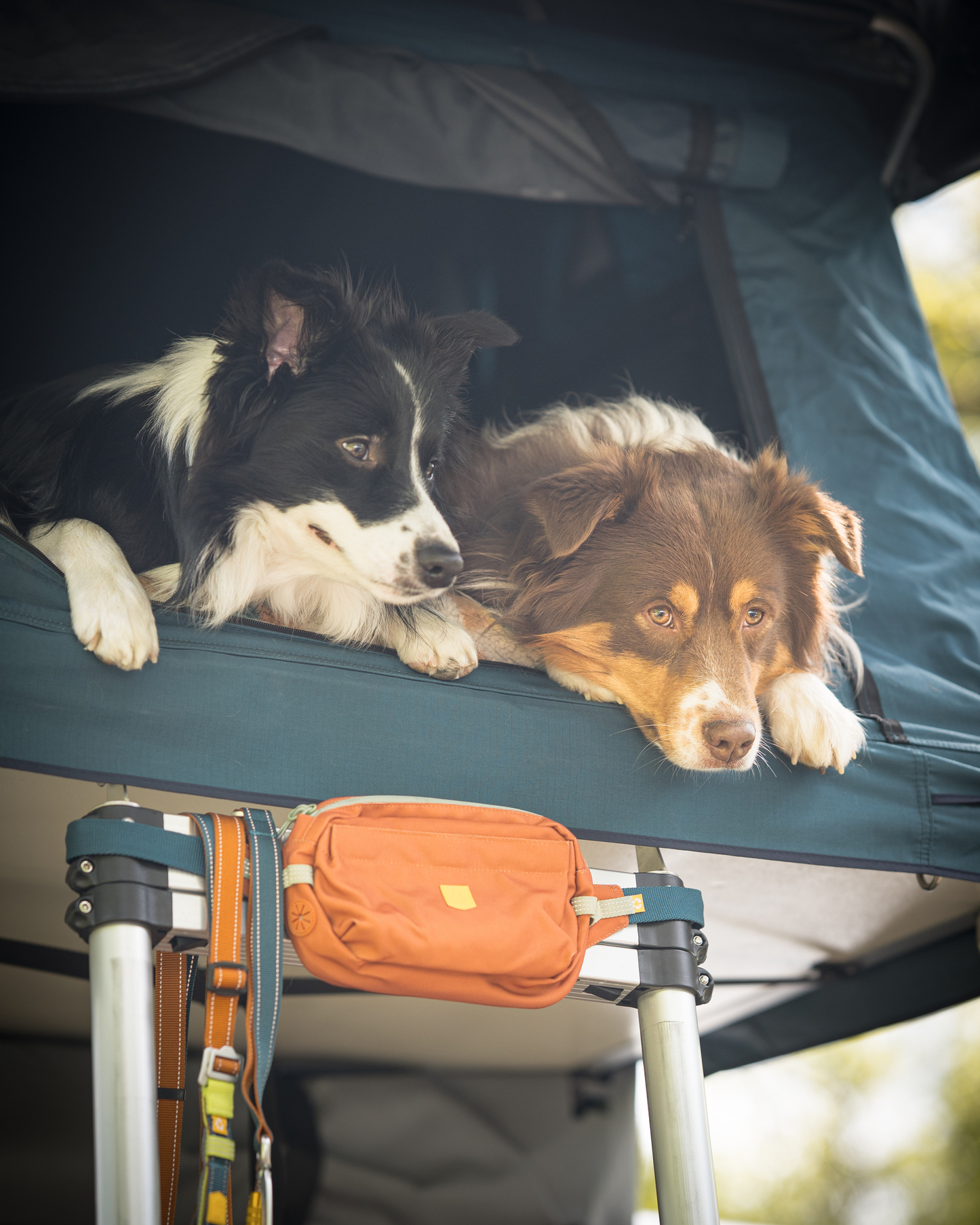 Woolly Wolf Alpha 360 Hip Pack Vyölaukku, terracotta mix