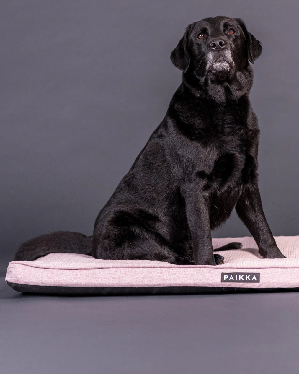 PAIKKA Cooling Orthopedic Mattress 120 cm, pinkki Nordic Pet Shop