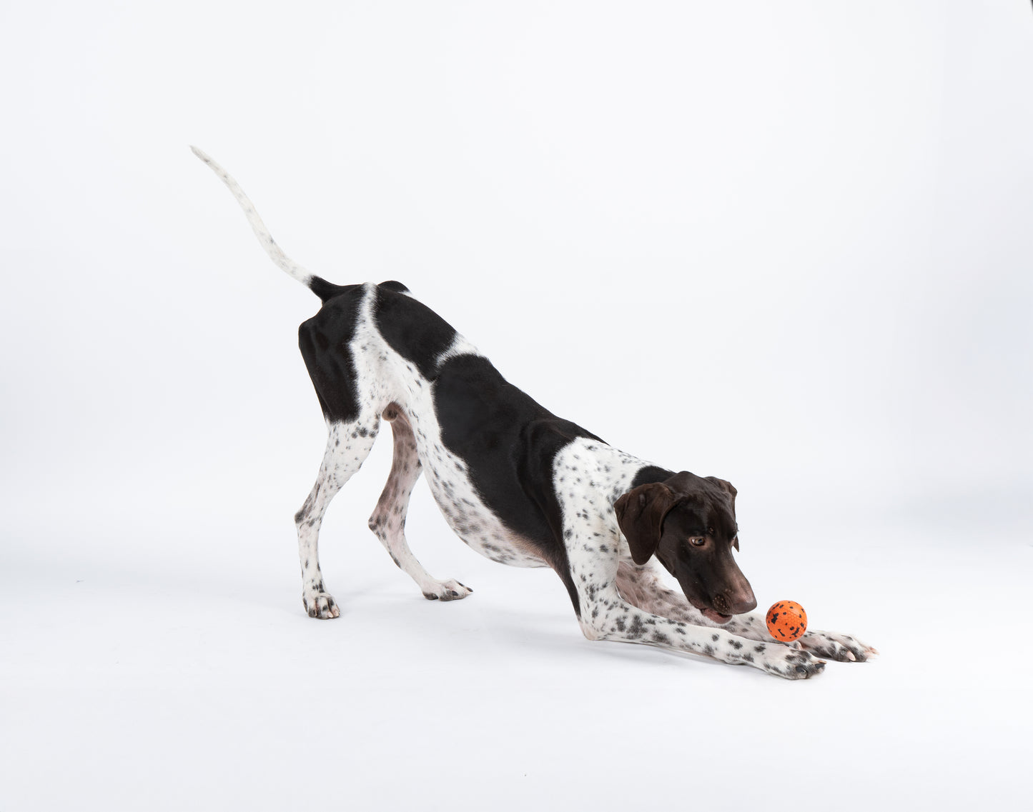 Non-stop Dog ball -koiran pallo, 70 x70 mm