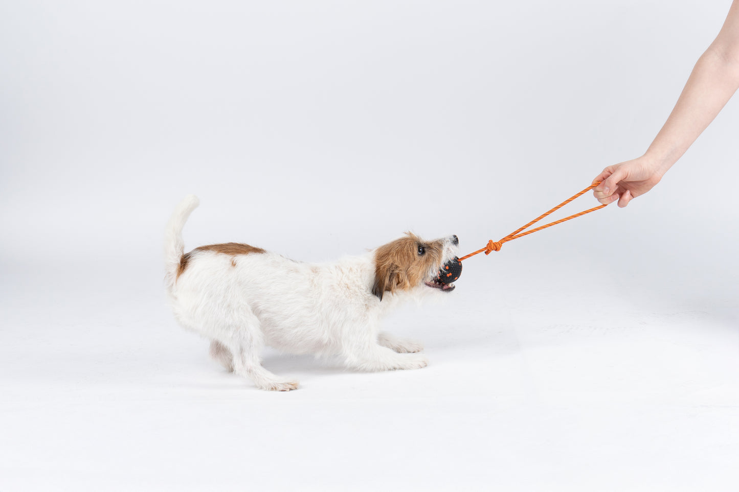 Non-stop Dog ball on rope -narupallo, 70 x 70 mm