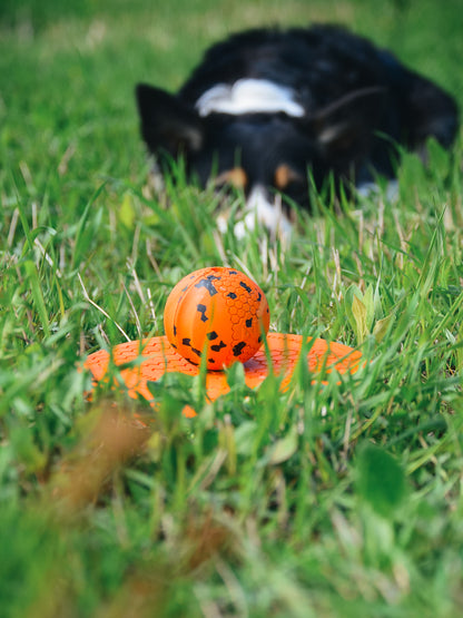 Non-stop Dog ball -koiran pallo, 70 x70 mm