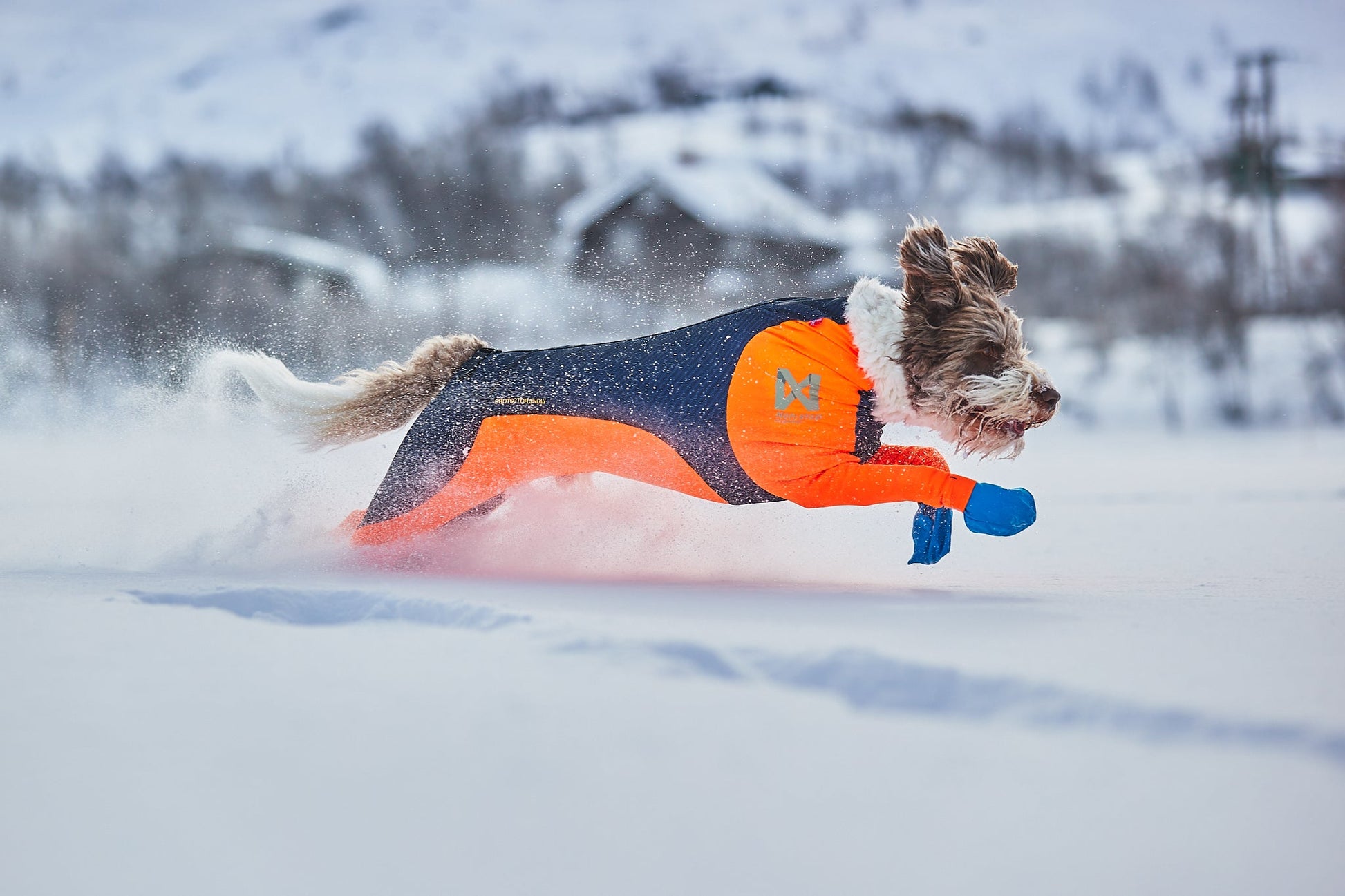 Non-stop Protector Snow lumihaalari Nordic Pet Shop