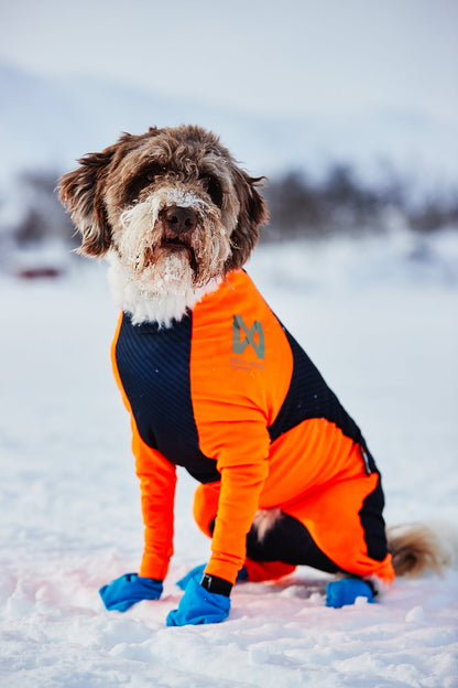 Non-stop Protector Snow lumihaalari Nordic Pet Shop