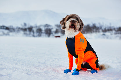 Non-stop Protector Snow lumihaalari Nordic Pet Shop