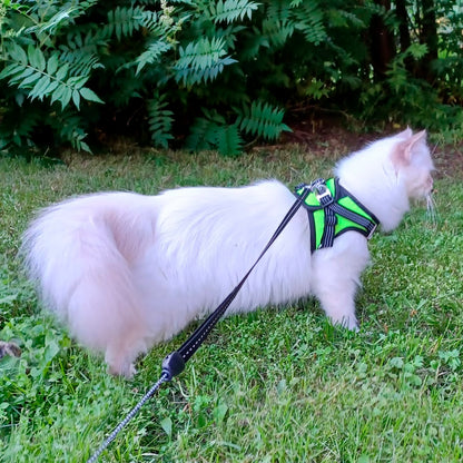 FINNERO HALI -liivivaljas pienille lemmikeille, musta/keltainen