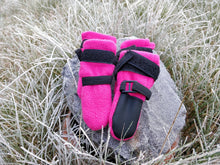 FINNERO HALLA tossut koiralle, 4 kpl/paketti, pinkki