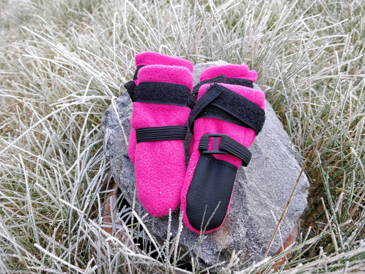 FINNERO HALLA tossut koiralle, 4 kpl/paketti, pinkki