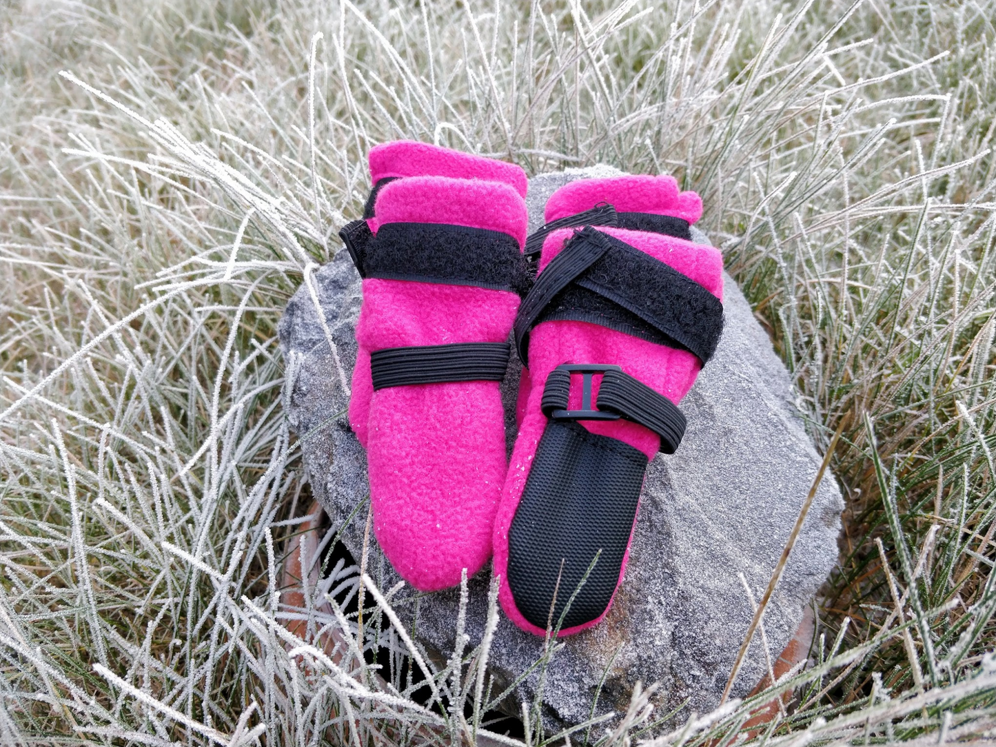 FINNERO HALLA tossut koiralle, 4 kpl/paketti, pinkki Nordic Pet Shop