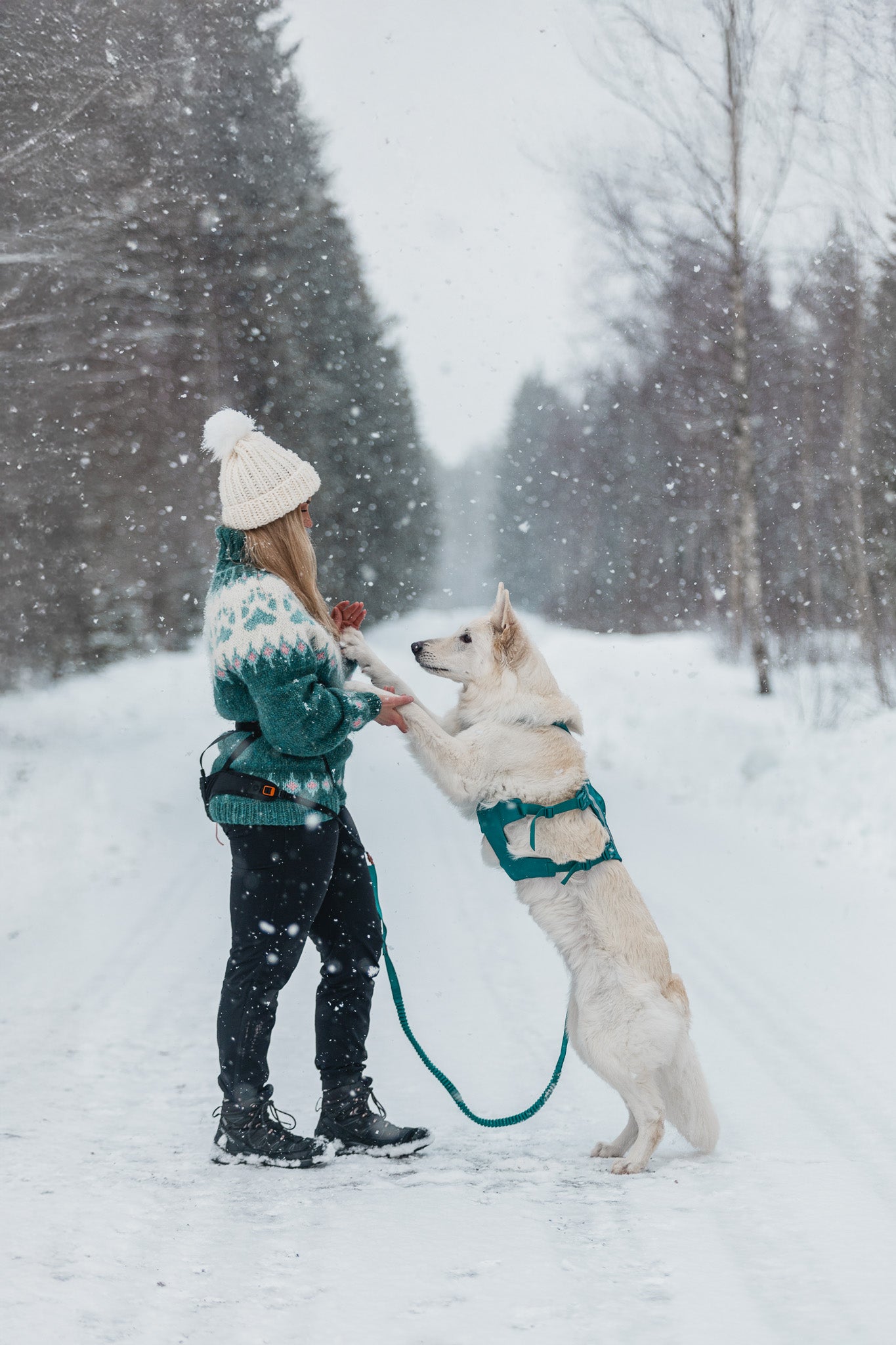 Non-stop Ramble harness long koiran valjaat, teal