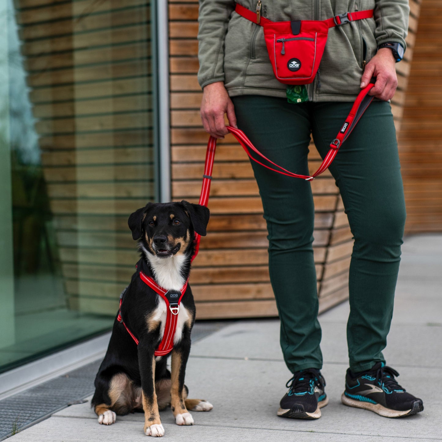 DOG Copenhagen GO Explore Treat Bag -makupalapussi Nordic Pet Shop