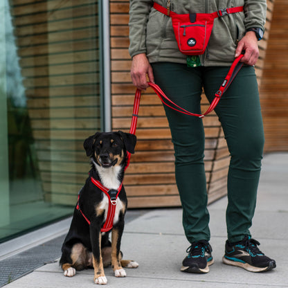 DOG Copenhagen GO Explore Treat Bag -makupalapussi Nordic Pet Shop