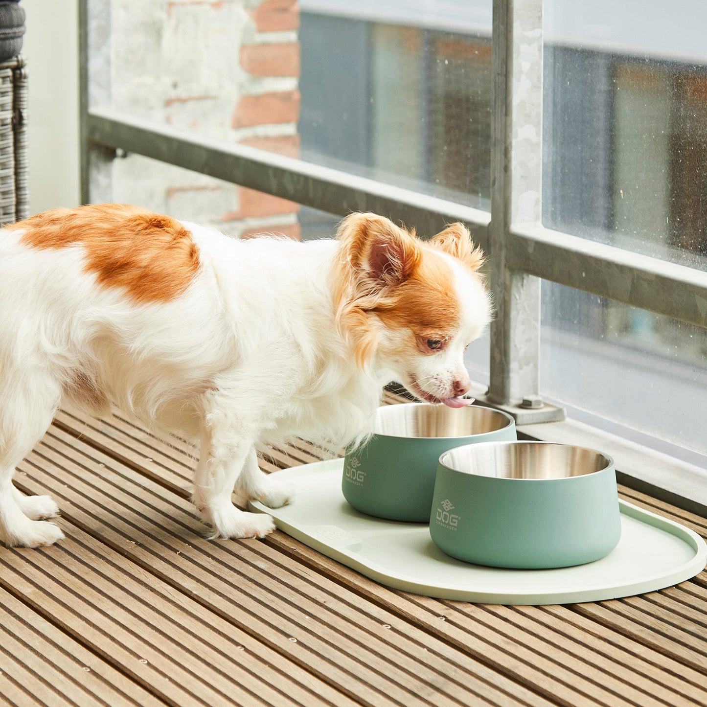 DOG Copenhagen Vega Bowl -ruokakuppi Nordic Pet Shop