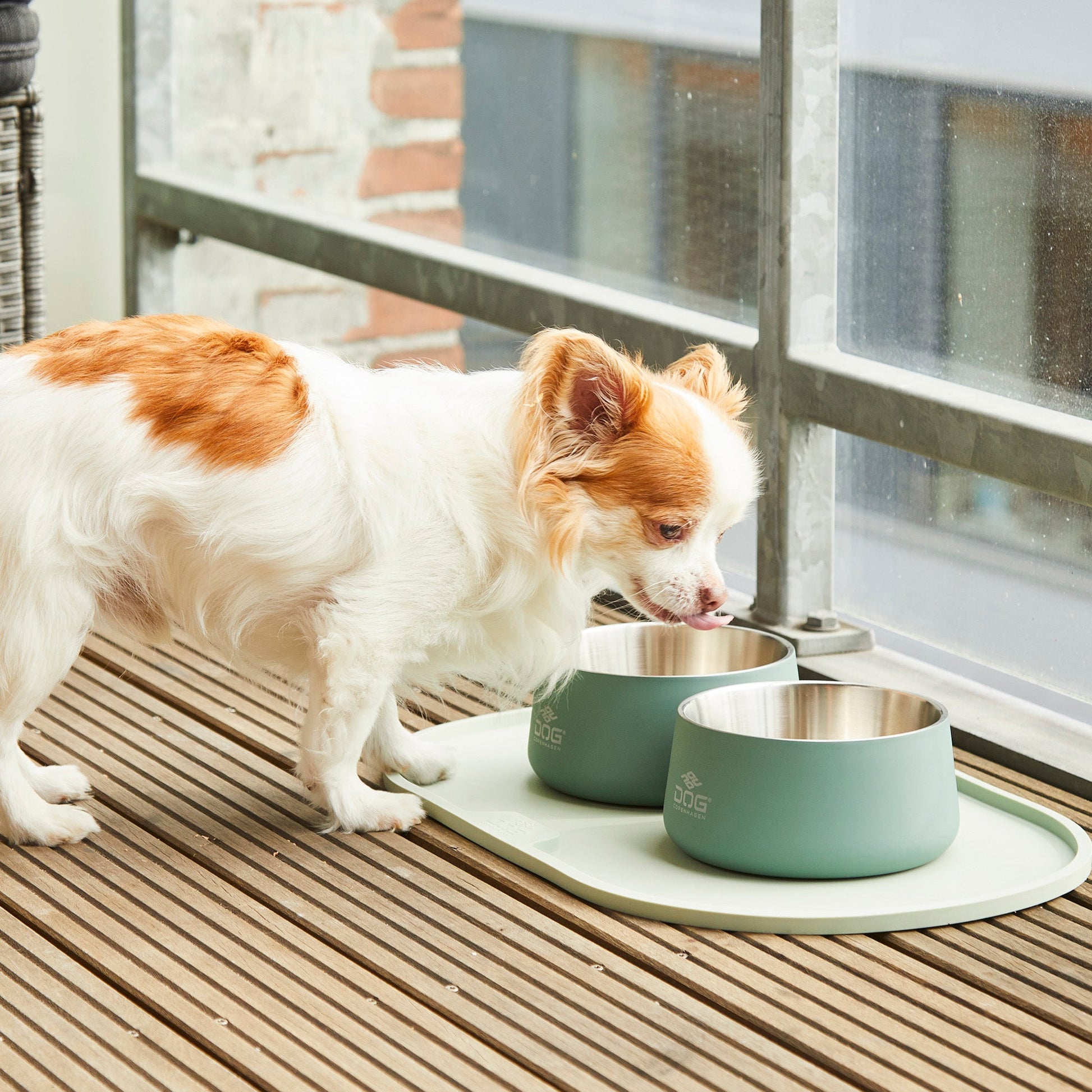 DOG Copenhagen Vega Bowl -ruokakuppi Nordic Pet Shop