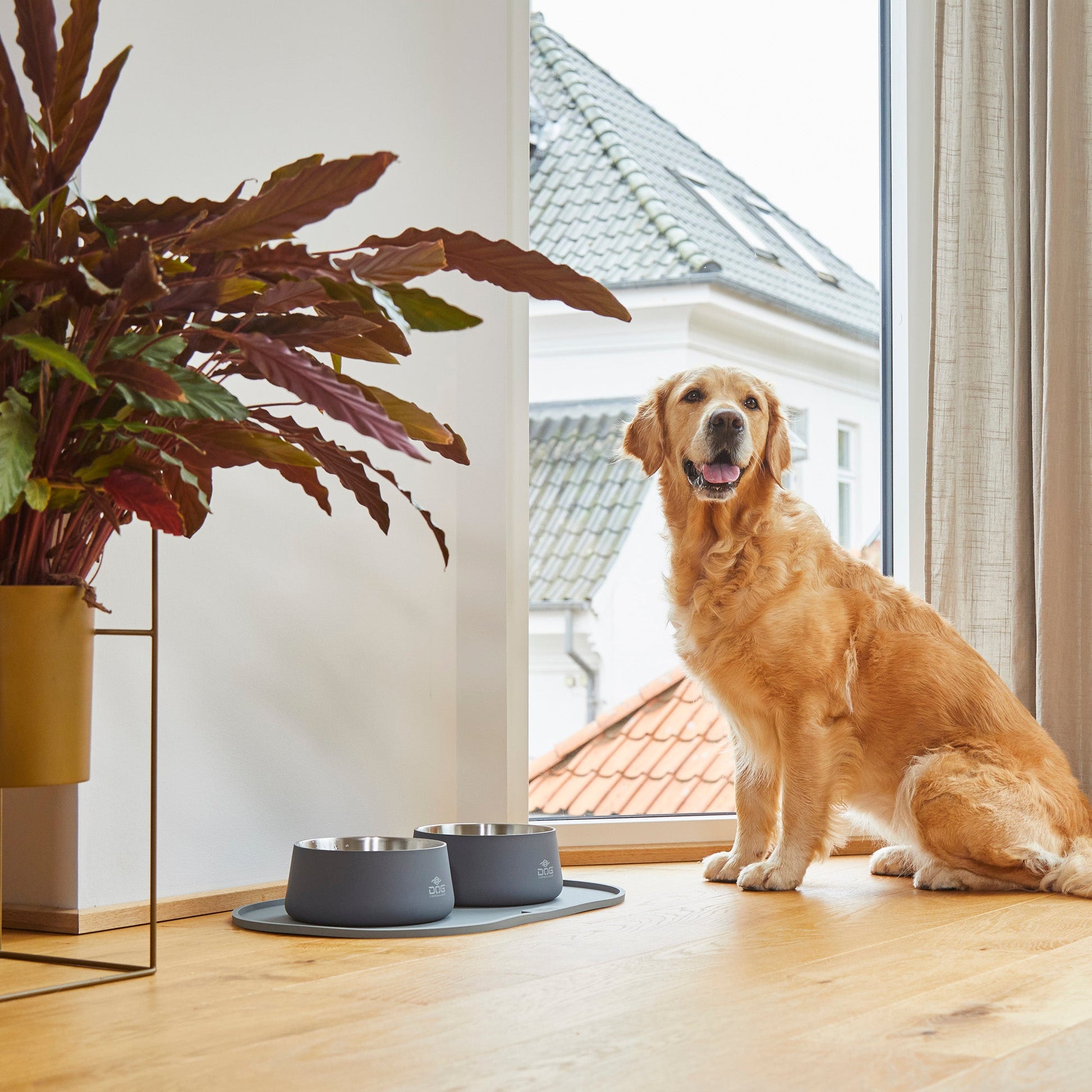 DOG Copenhagen Vega Bowl -ruokakuppi Nordic Pet Shop
