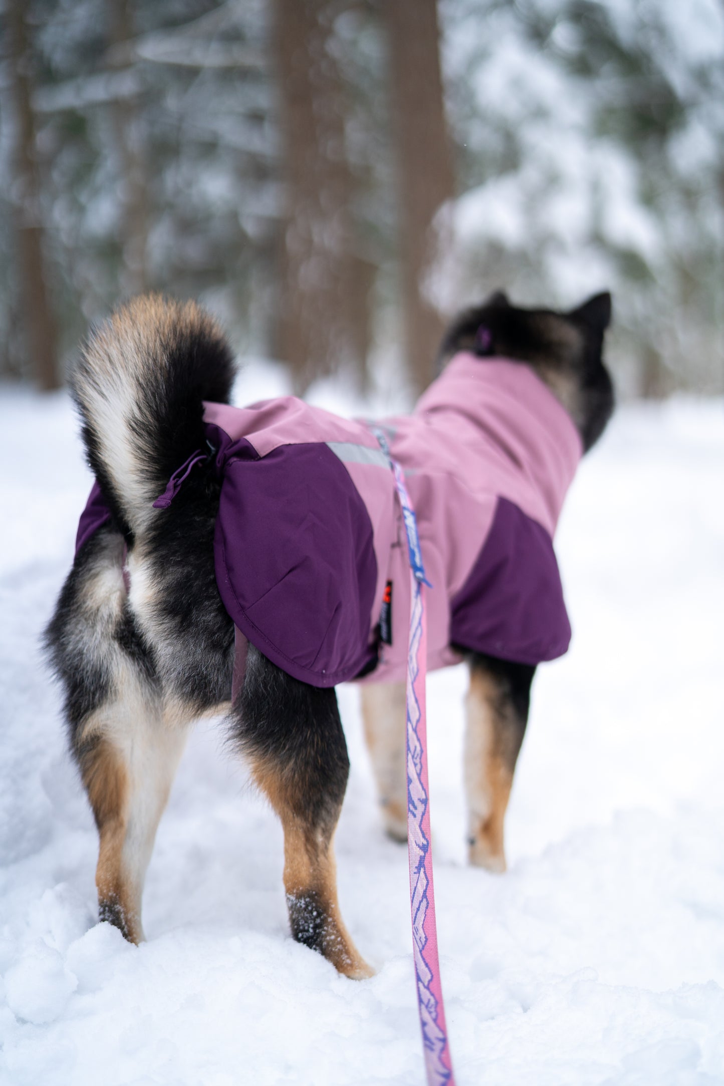 Non-stop Glacier jacket 3.0 koiran takki, mauve