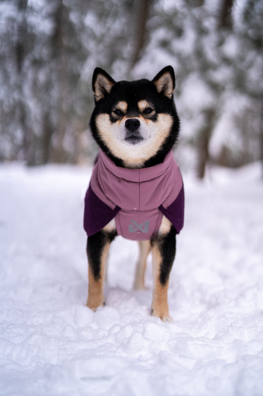 Non-stop Glacier jacket 3.0 koiran talvitakki, mauve