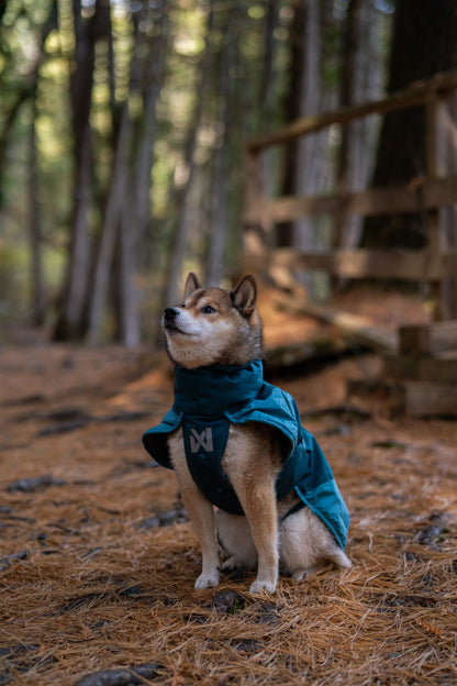 Non-stop Glacier jacket 3.0 koiran takki, teal