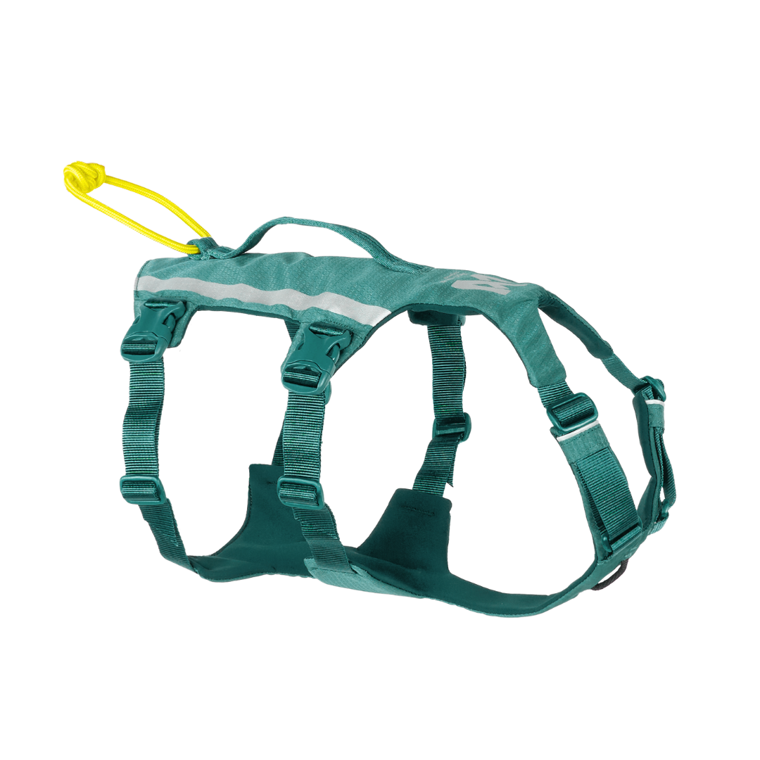 Non-stop Ramble harness long koiran valjaat, teal